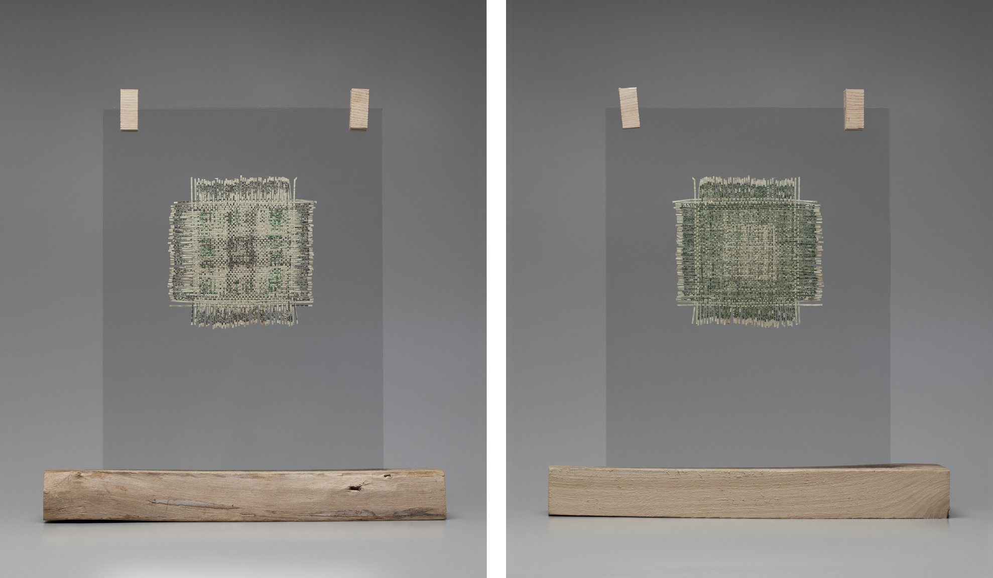 New Money Portraits