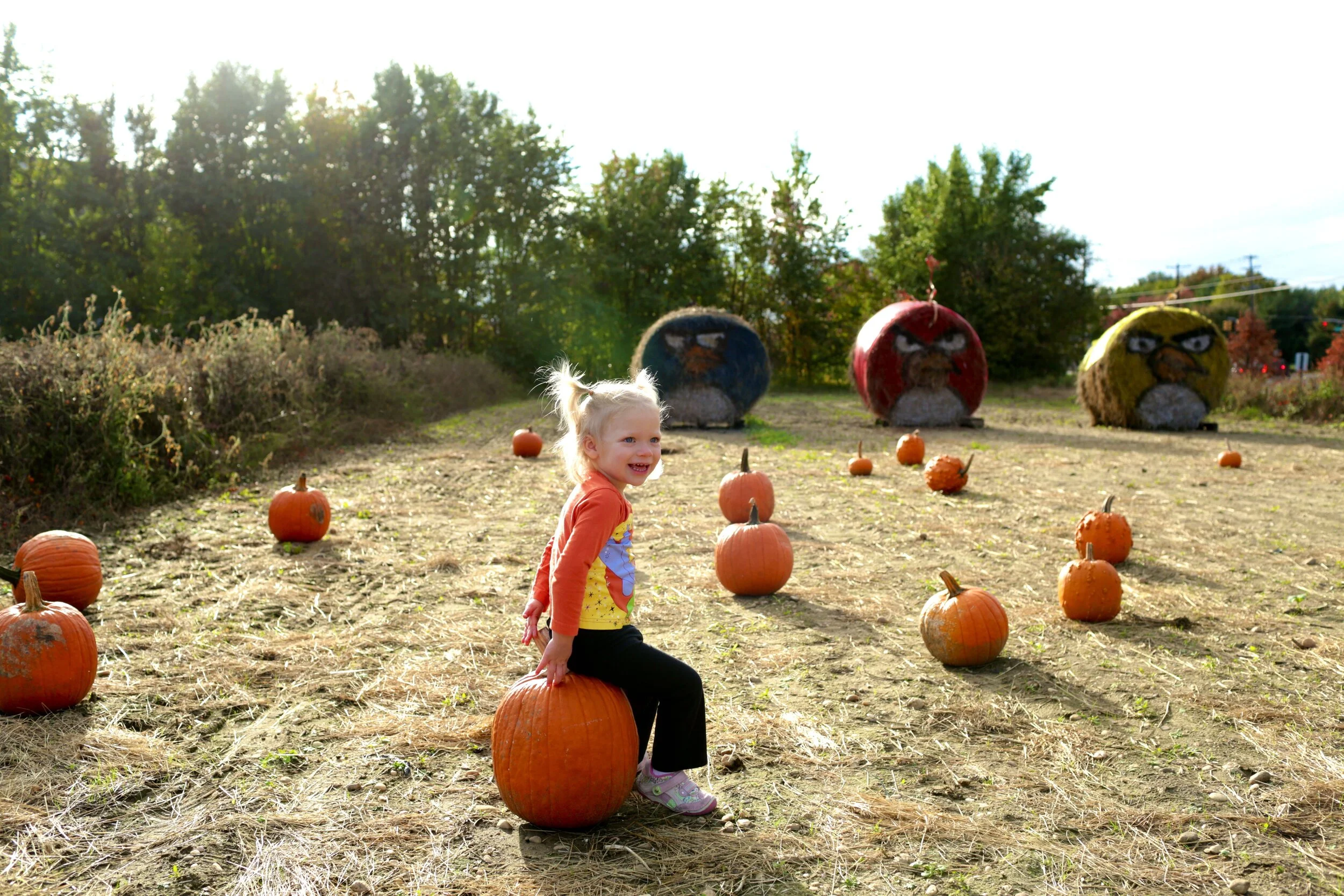 3_Analise Pumpkin 2.jpeg