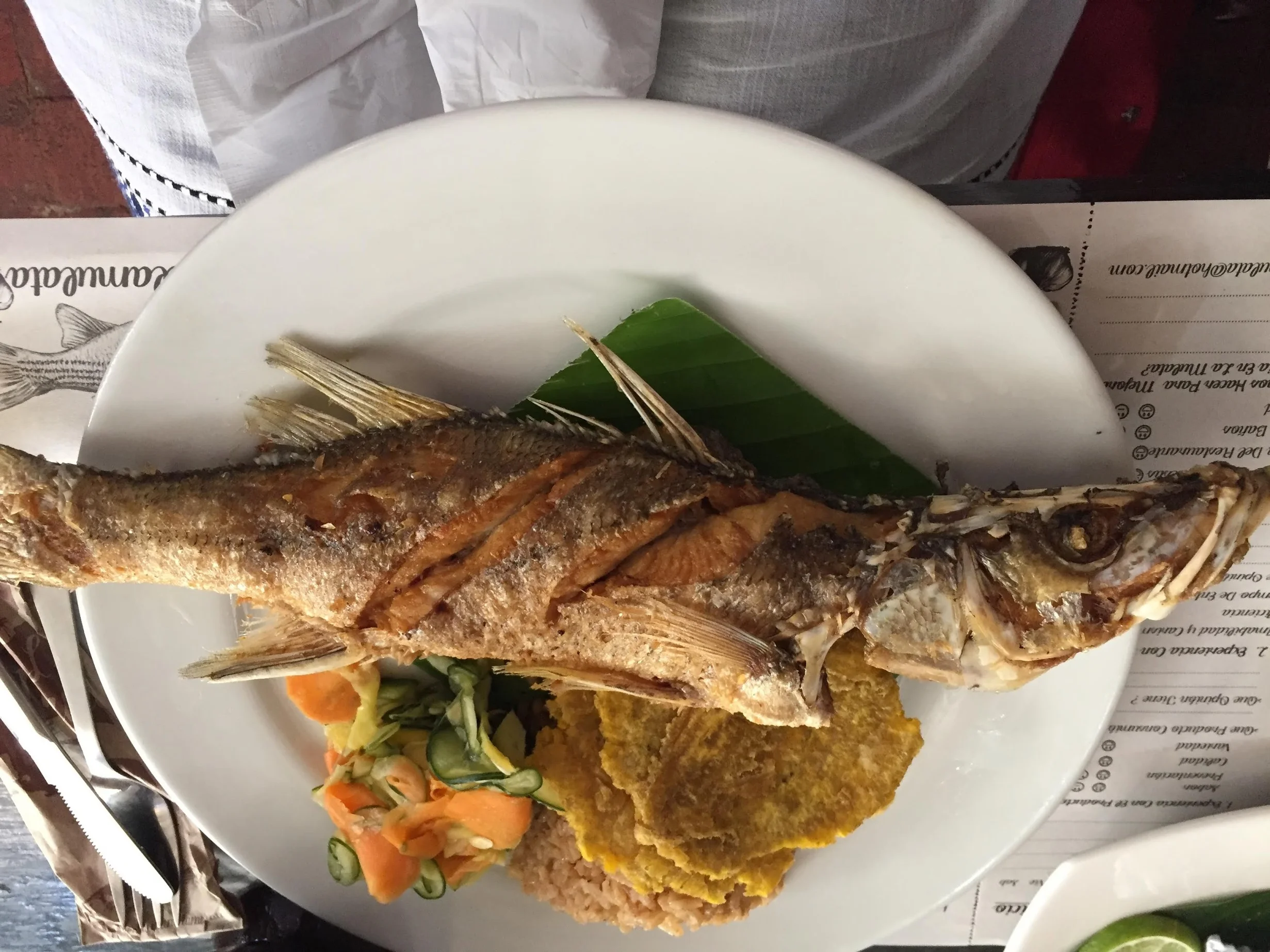 colomnia fried fish plate.jpg