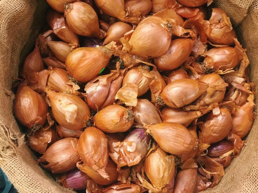 image-asset.jpg