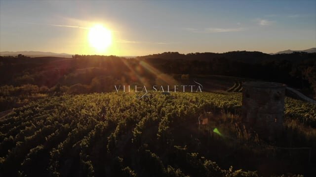 Villa Saletta Wine production