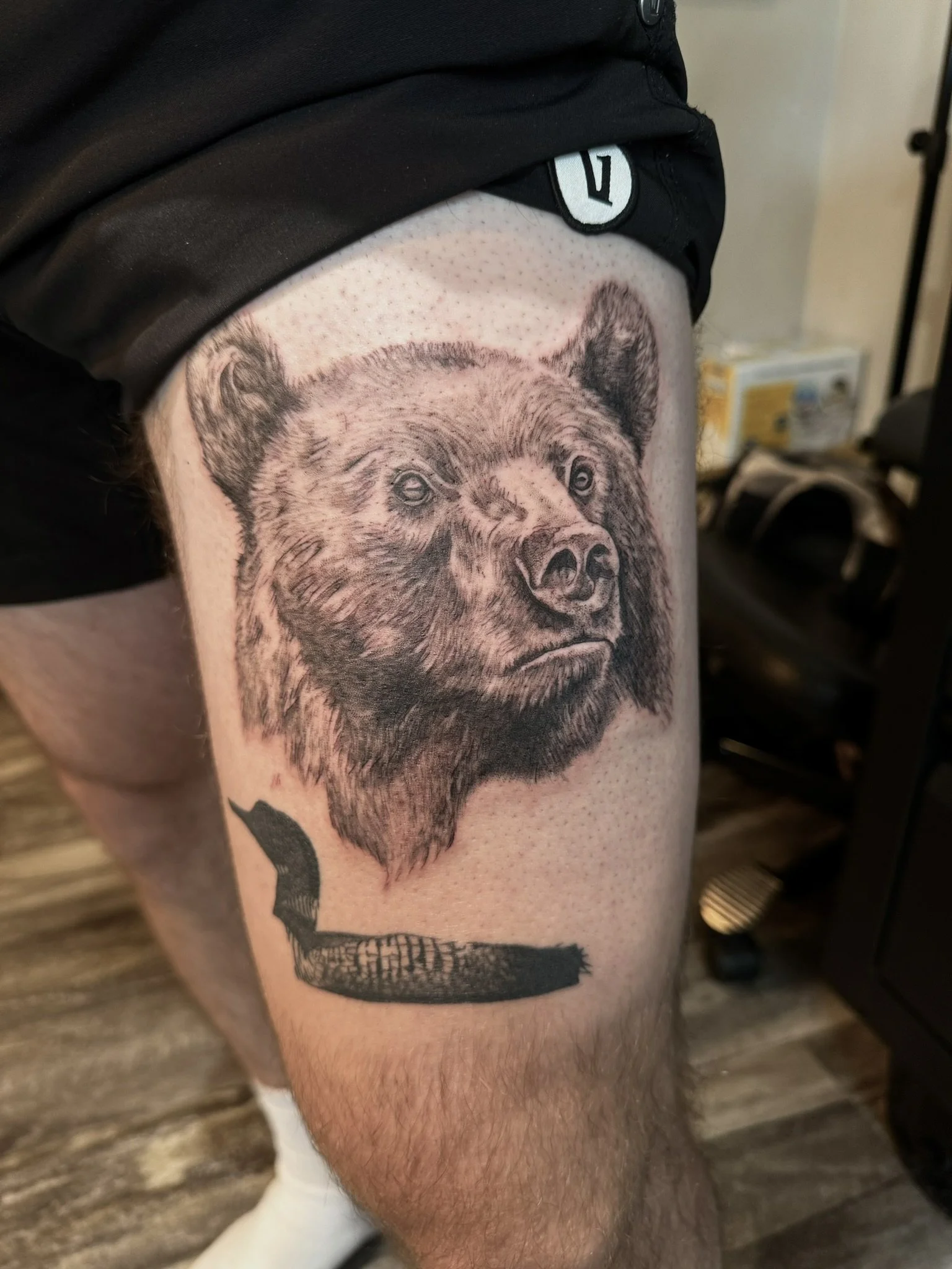 Bear Portrait (Unfinished)