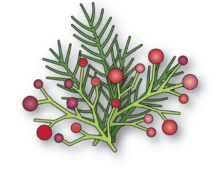 Memory Box - Pines and Berries Sprigs Craft Die