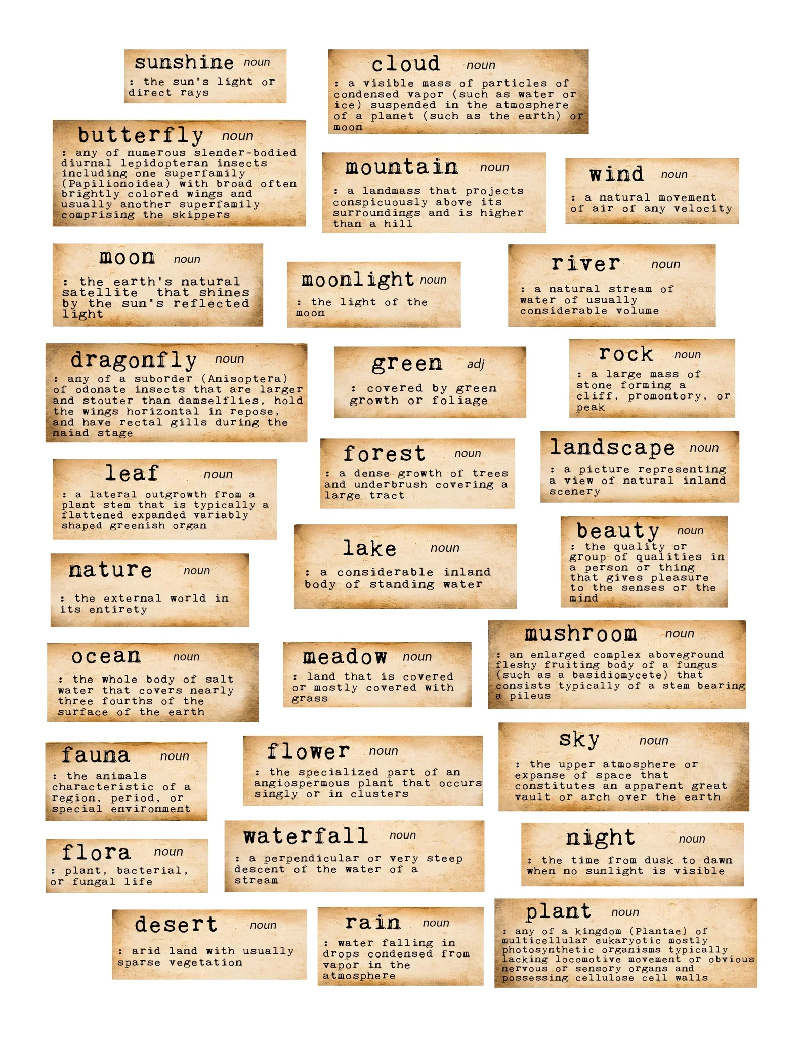 Simply Stated Design-Eclectic Aviary Sentiments Ephemera