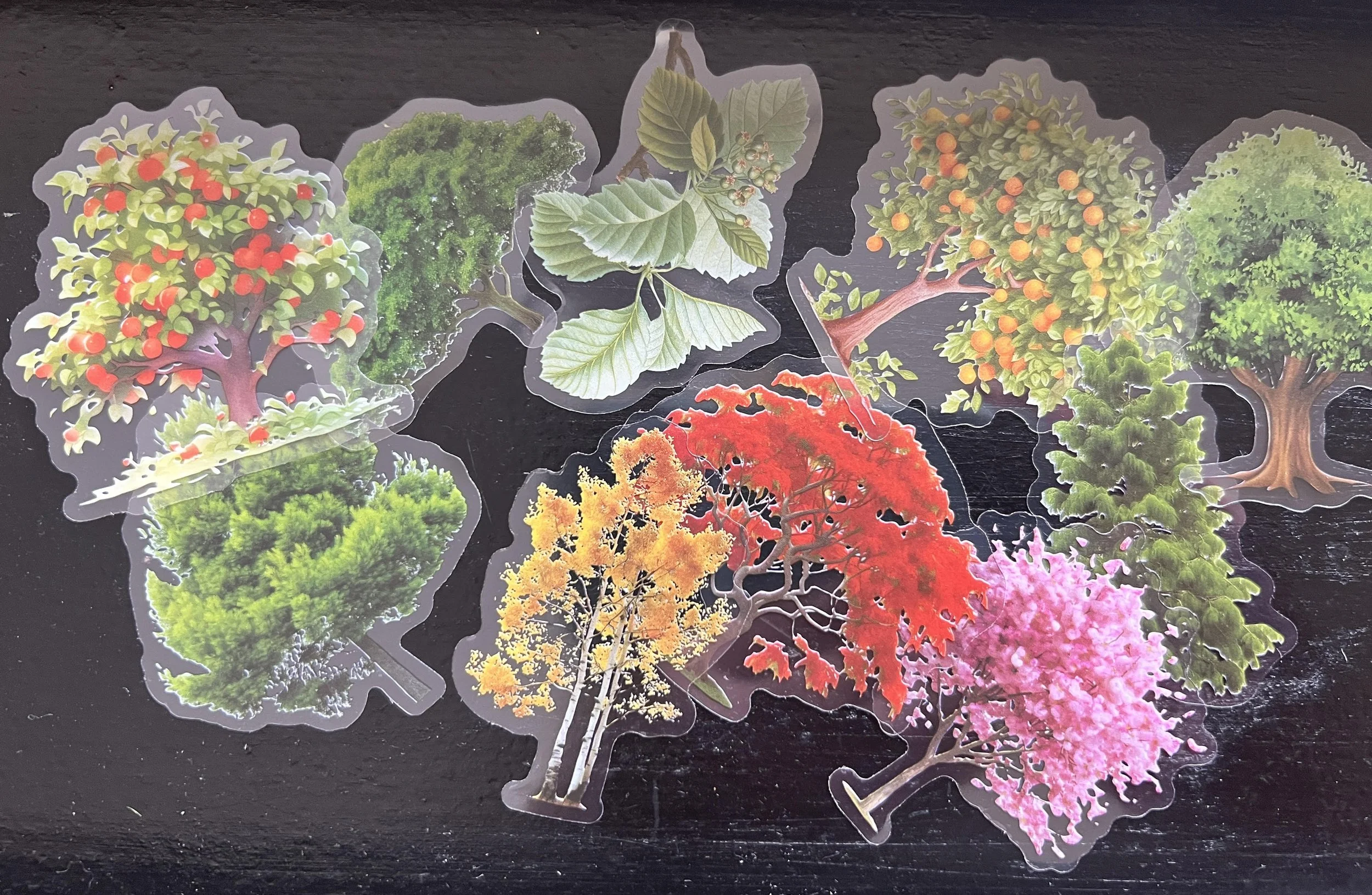 PET Transparent Forest Stickers