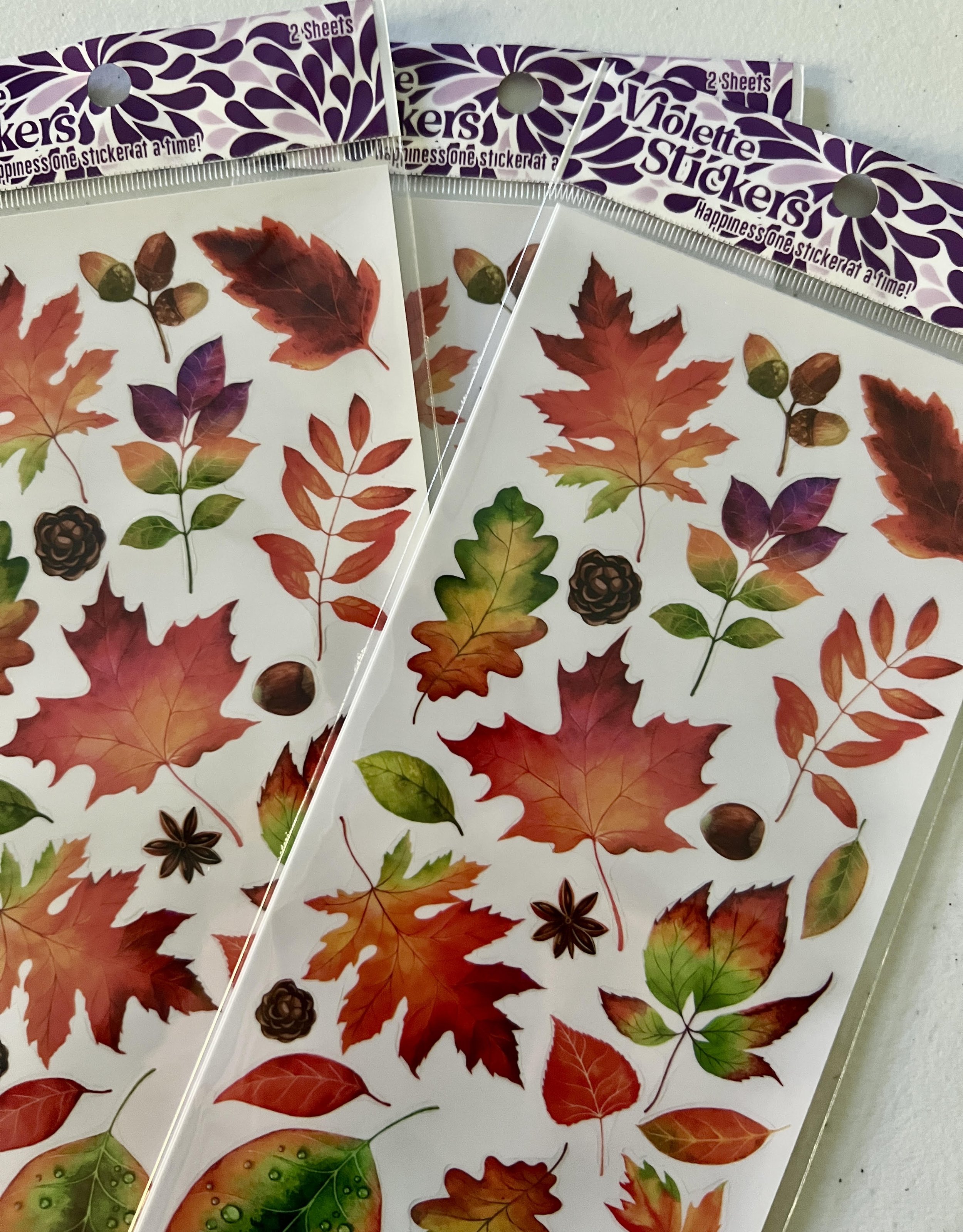 fall leaves.jpg