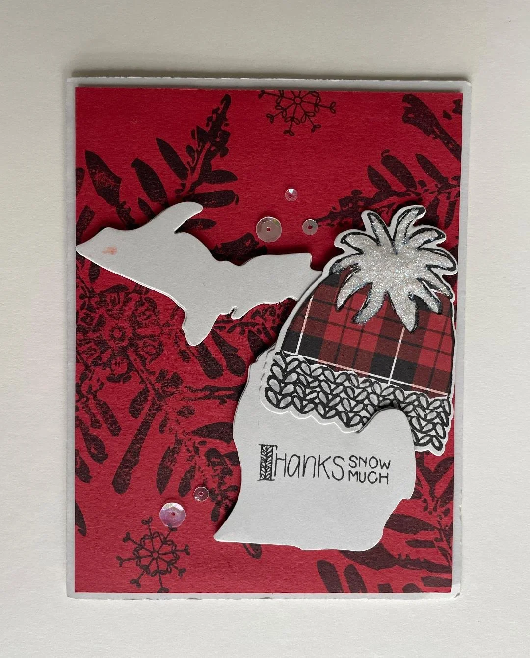 Merry in Michigan.jpg