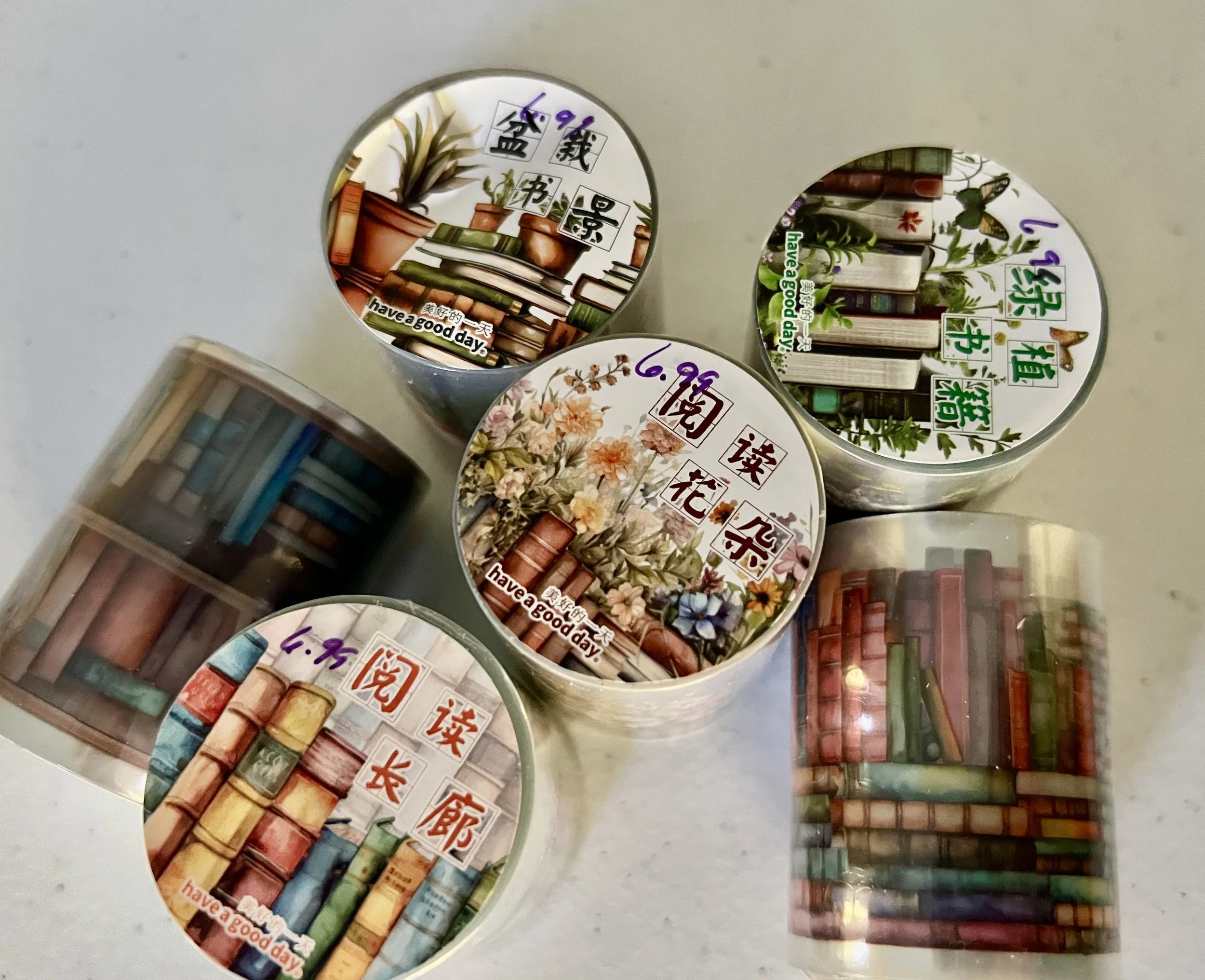 PET Washi Transparent Tape -  Reading