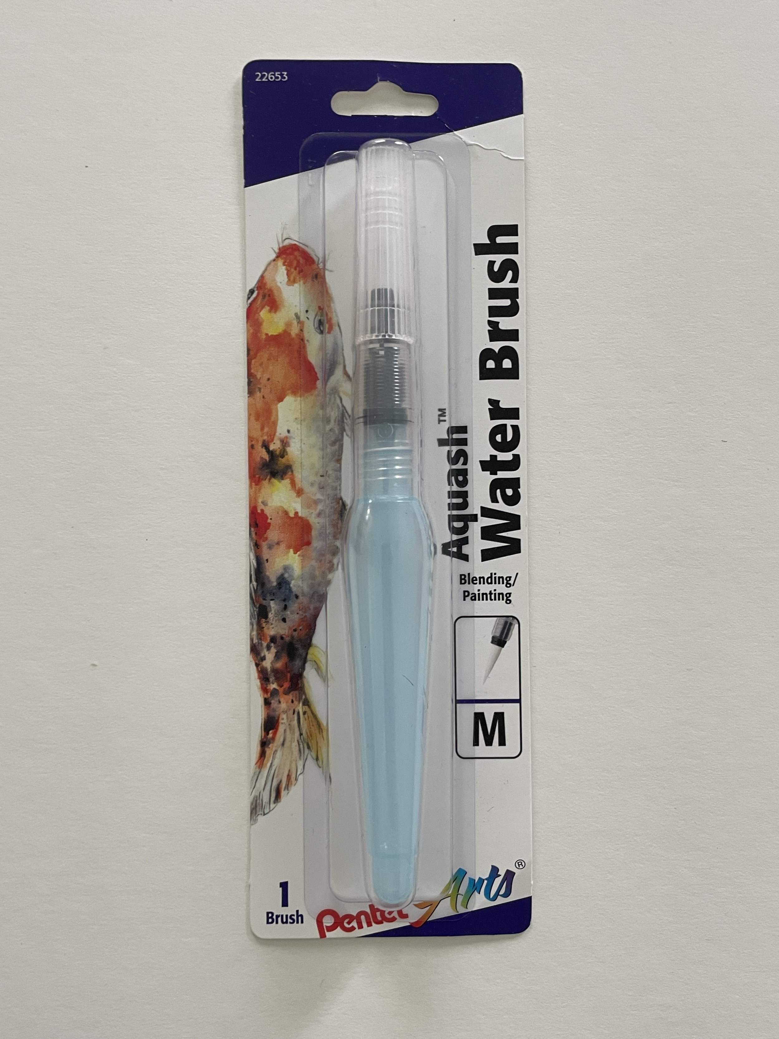 Aquash Water Brush Medium