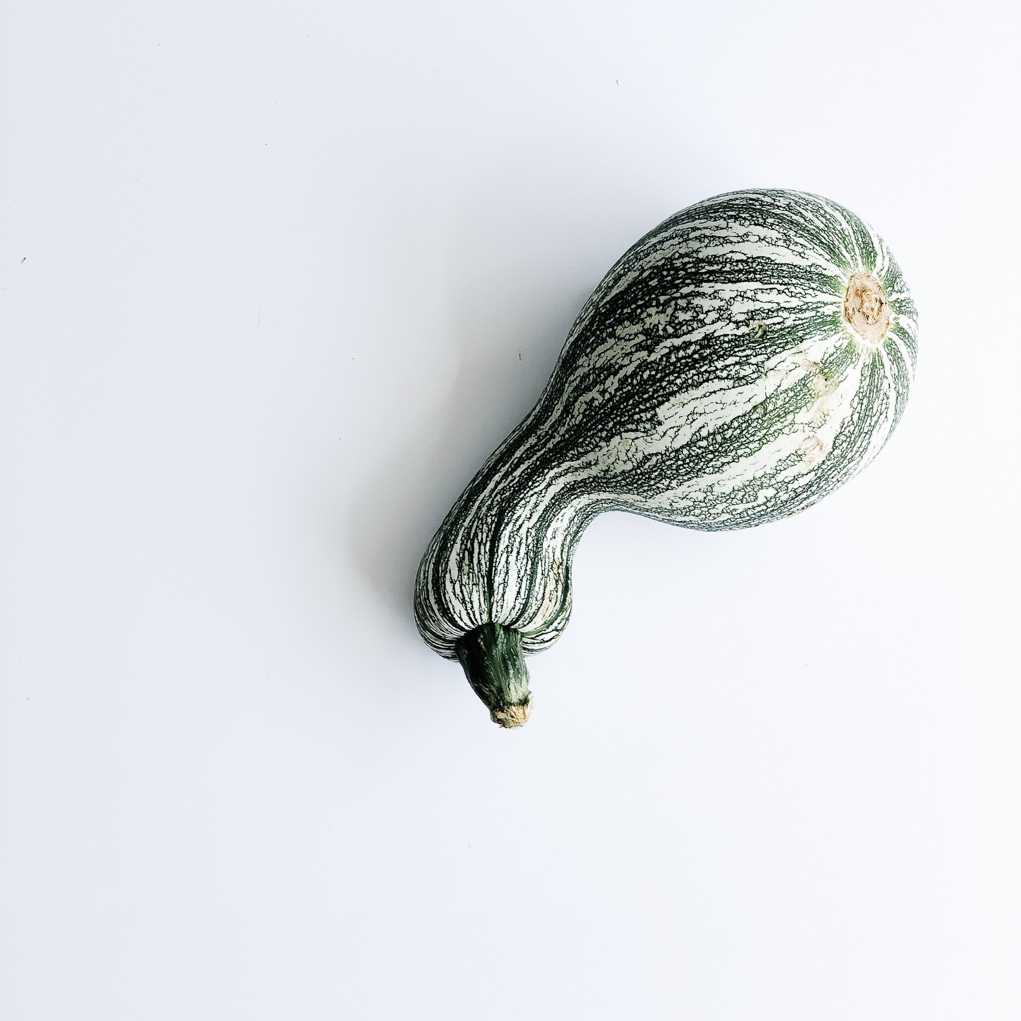 gourd