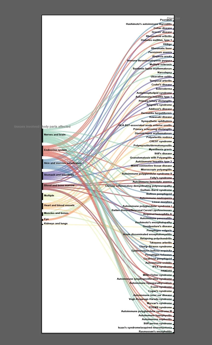  Initial alluvial diagram experiment with RAWGraphs  https://www.rawgraphs.io/  [alt text: body part categories on left, with color-coded lines connecting  to autoimmune disorders listed on the right] 
