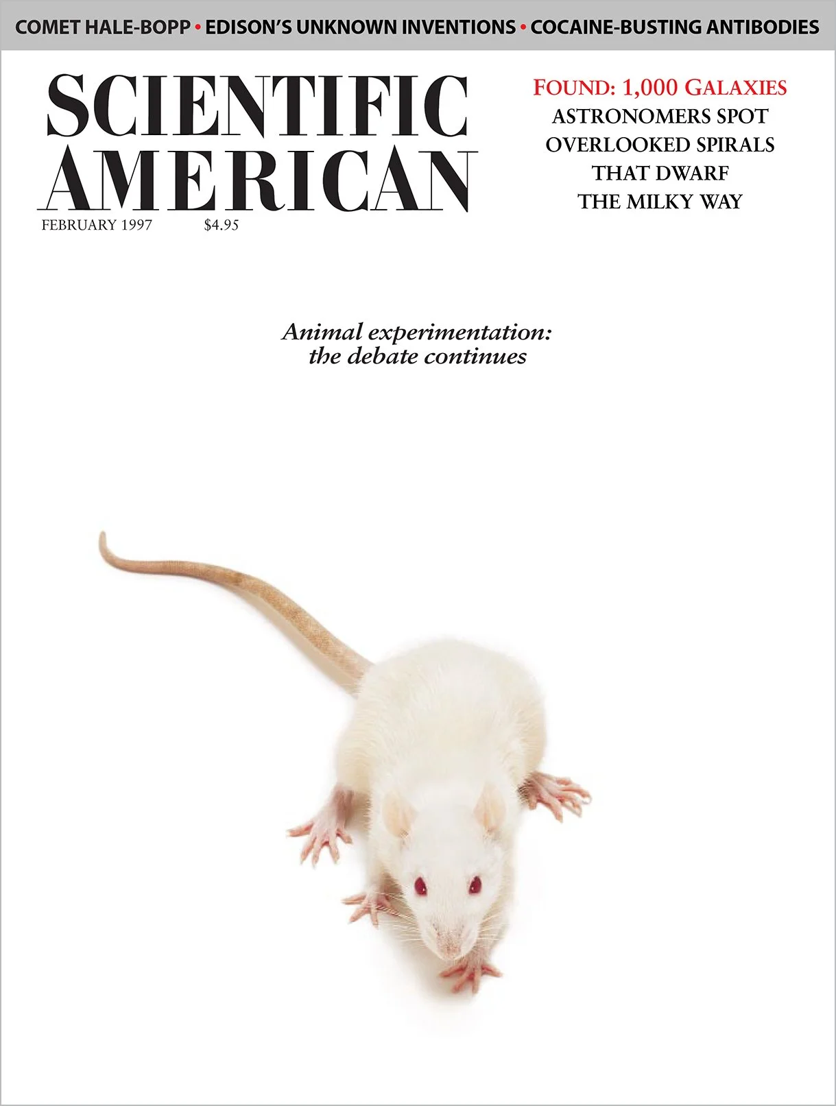   February 1997 issue ; Photograph by Christopher Burke, Quesada/Burke Studios; [alt text:  Scientific American  Magazine cover featuring a white rat.]  
