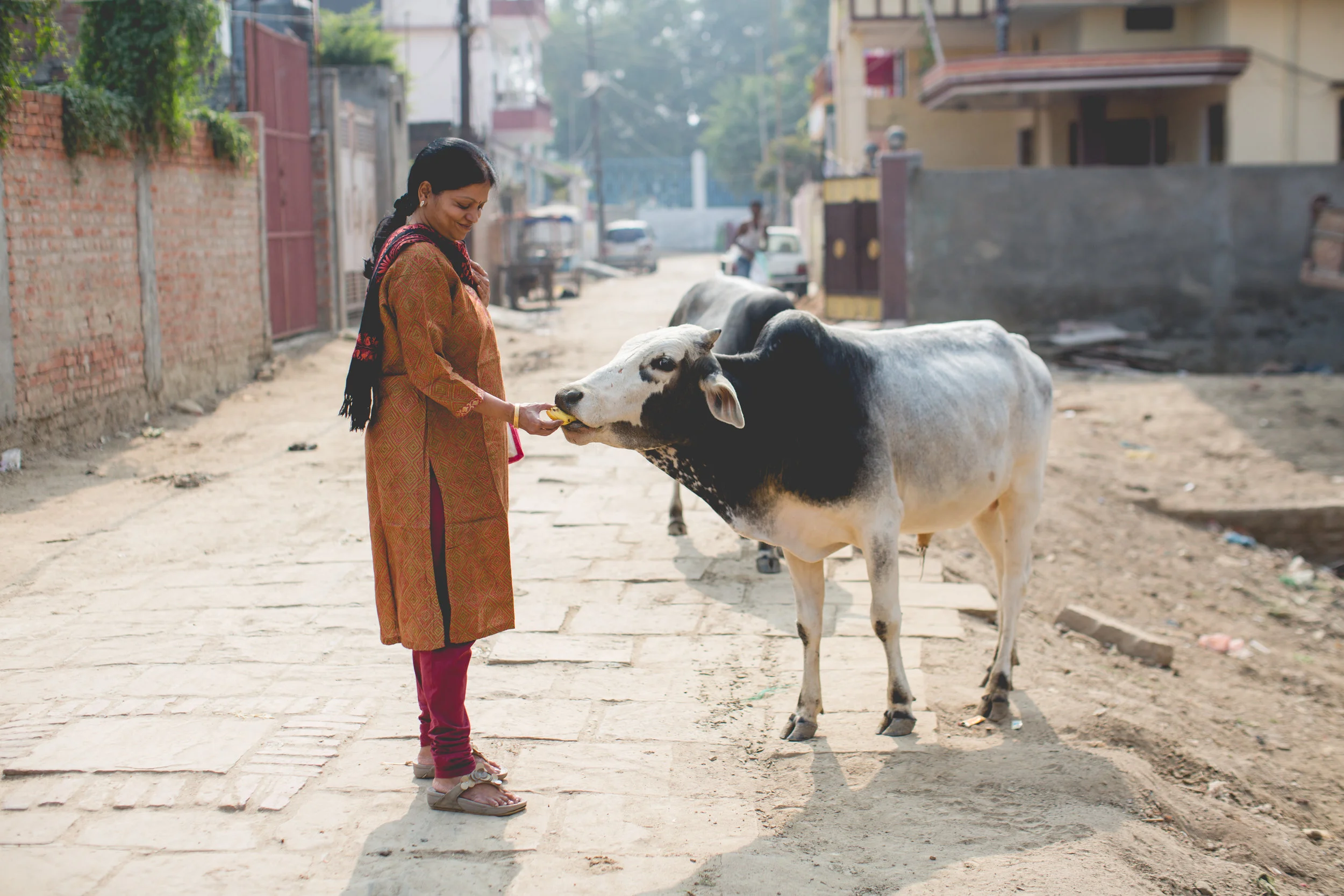Varanasi DanielaDawsonPhotography-5.jpg