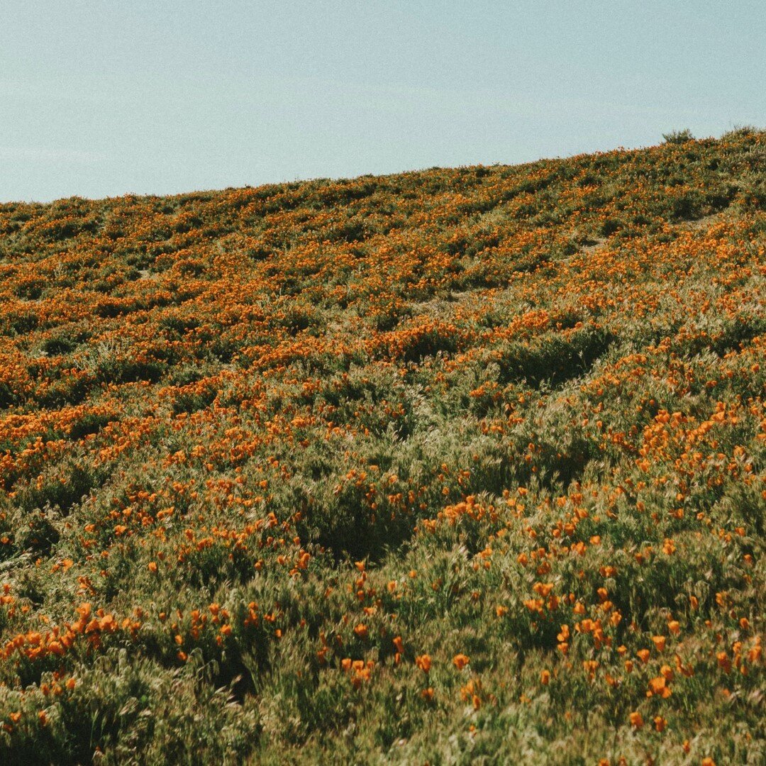 Welcome to your weekend.⠀⠀⠀⠀⠀⠀⠀⠀⠀
We hope you are enjoying nature and taking a pause. We are! ⠀⠀⠀⠀⠀⠀⠀⠀⠀
&quot;If you are tired, learn to rest, not quit&quot; ✌️