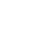 lightning-bullet-white.png