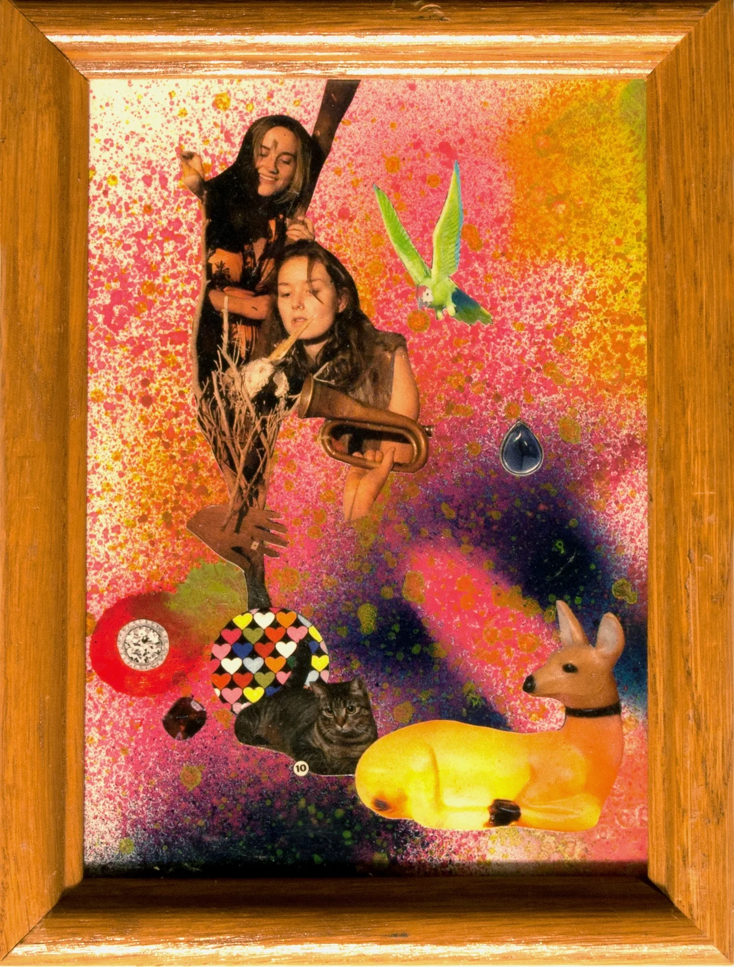 fauna 1