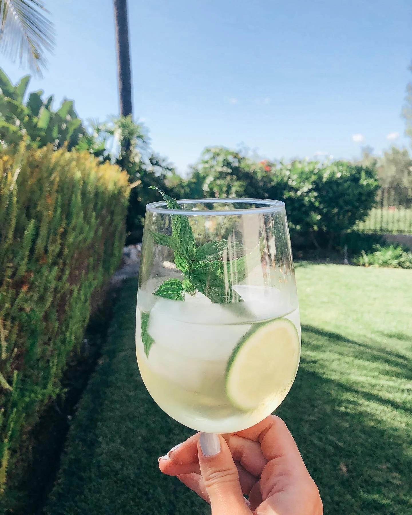 Hugo Spritz Cocktail Recipe