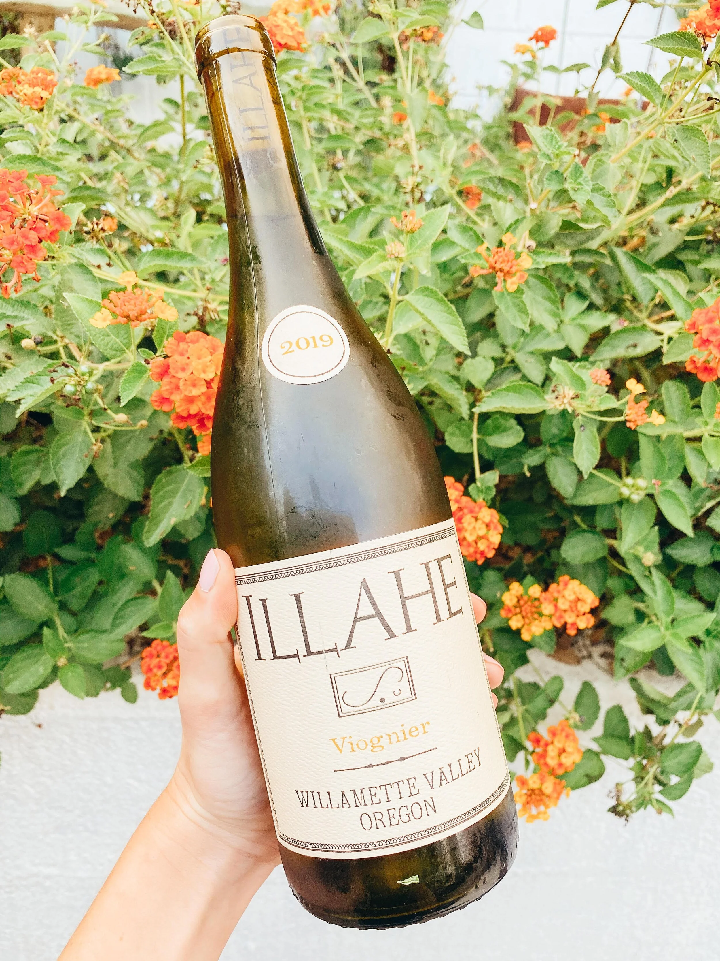 10 White Wines for Fall and Winter — Lexi's Wine List