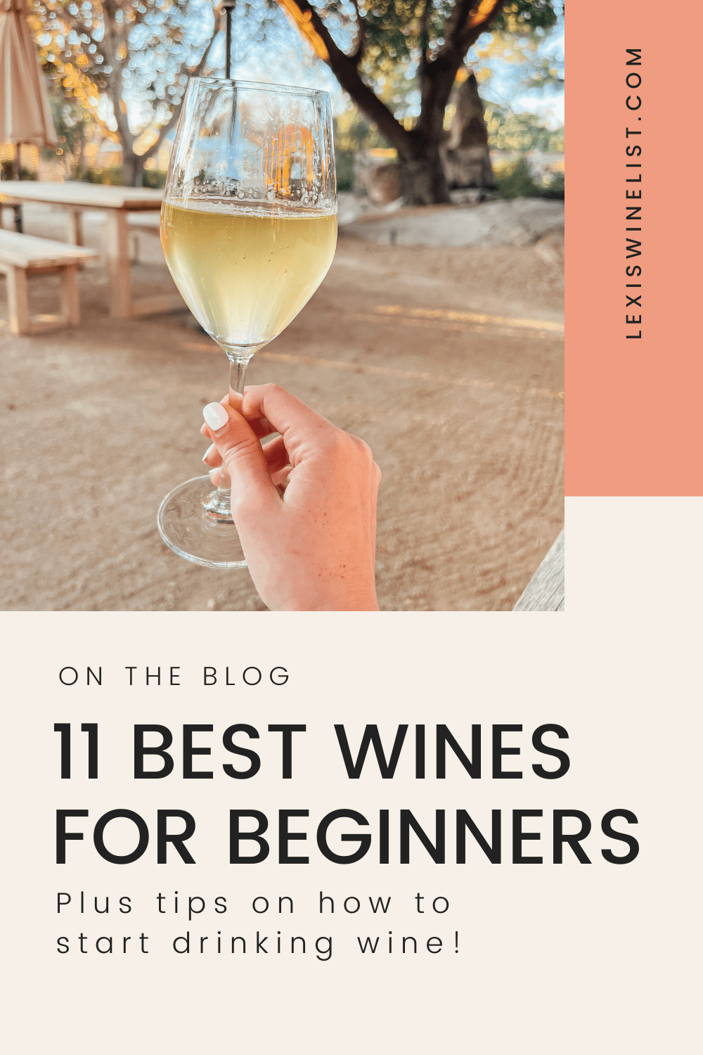 Best Wines for Beginners