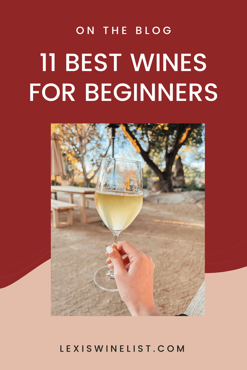 Best Wines for Beginners