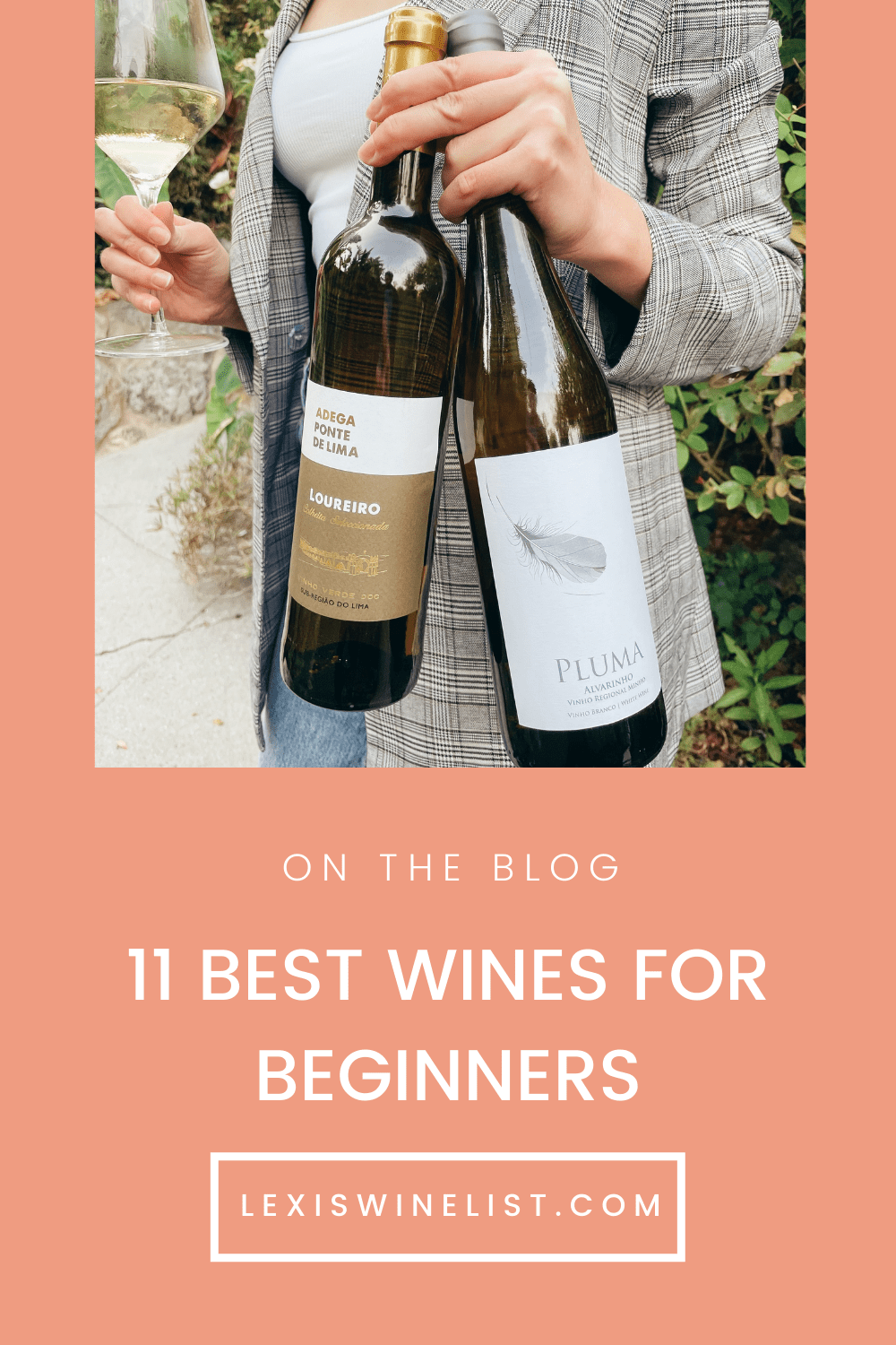 Best Wines for Beginners