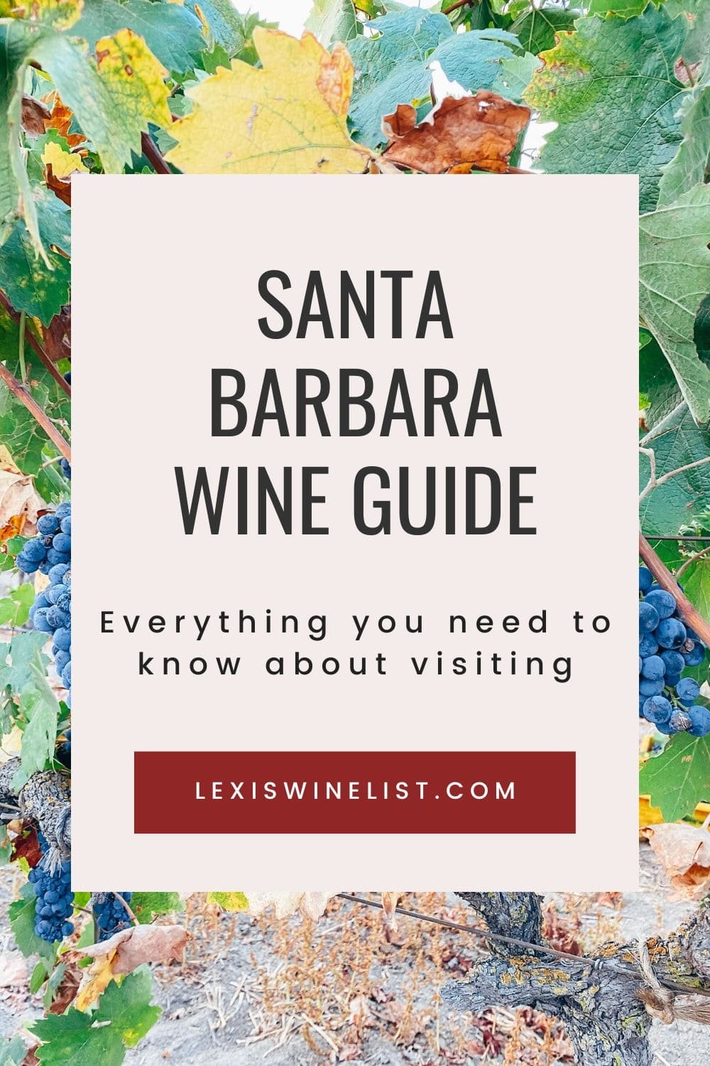 wine tasting in santa barbara.jpg