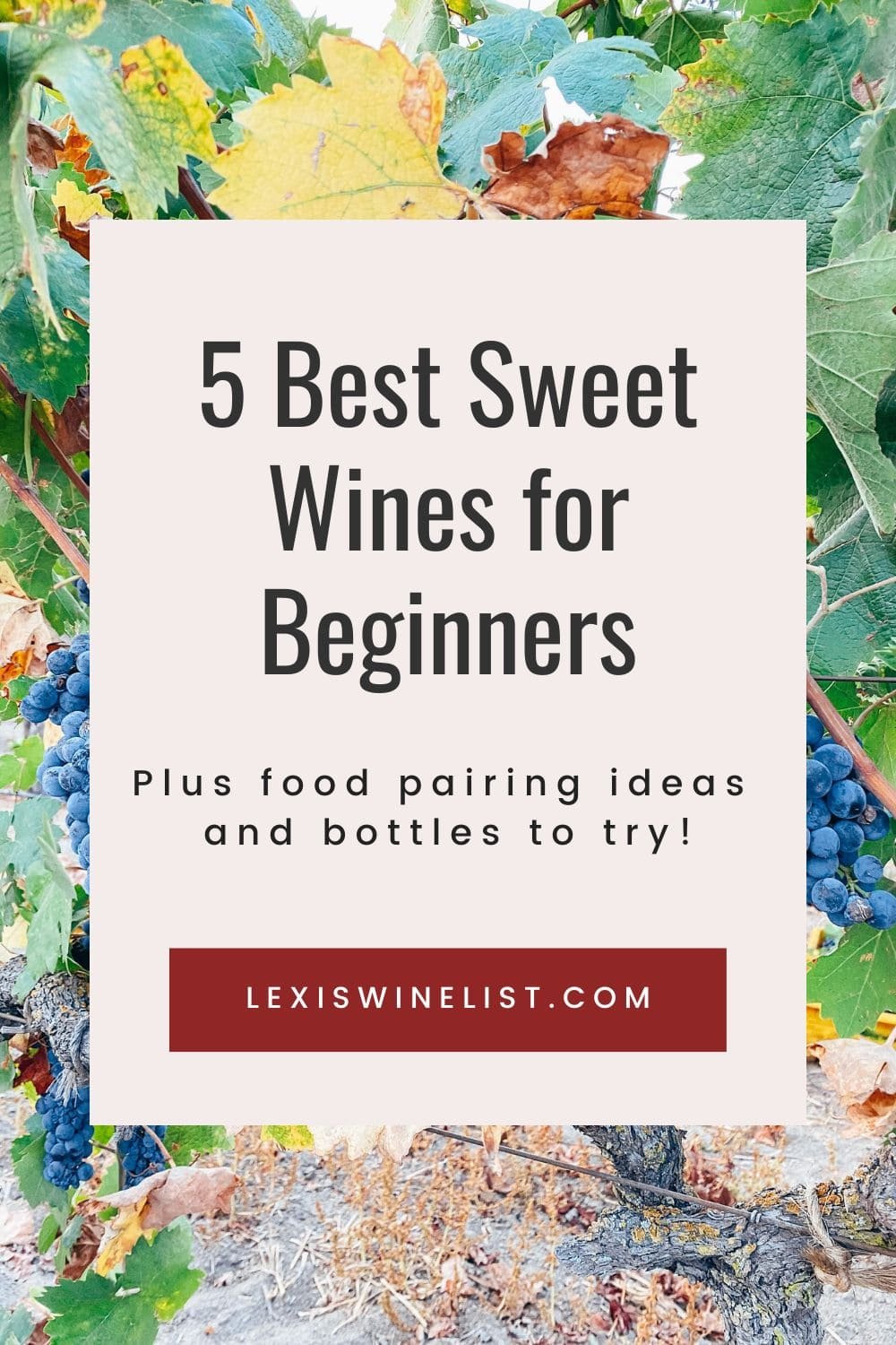 sweet wines for beginners.jpg