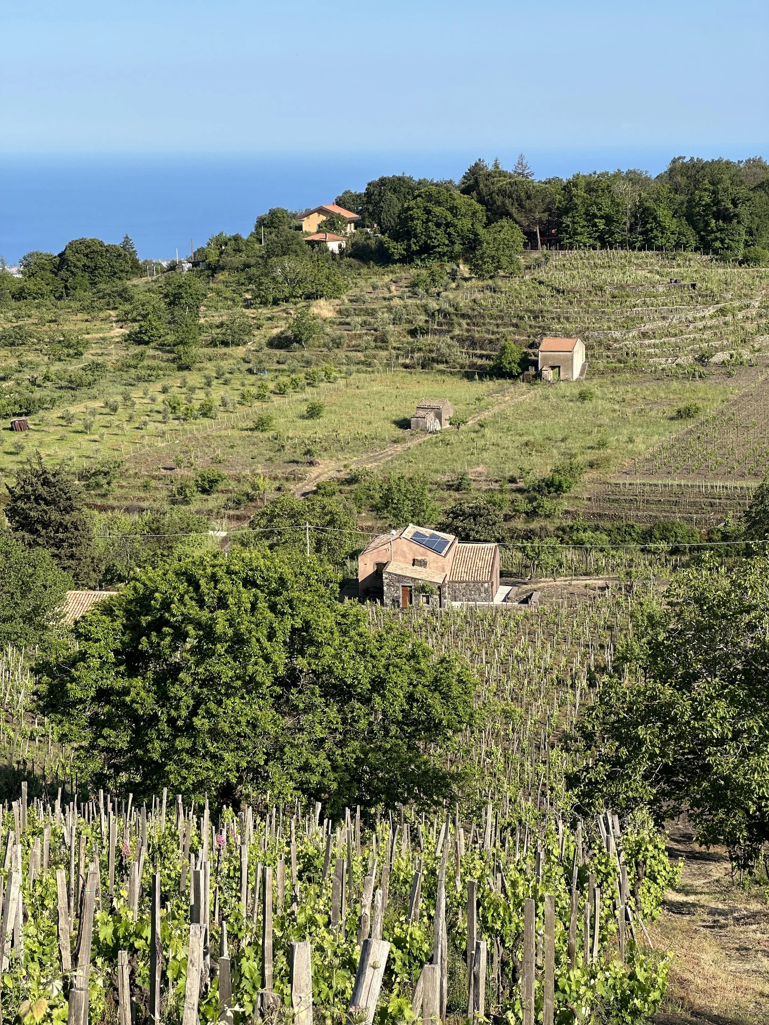 sicily wine tour itinerary