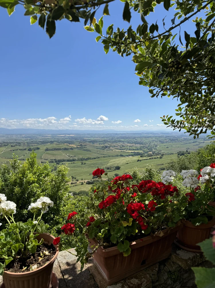 Pienza and Montalcino
