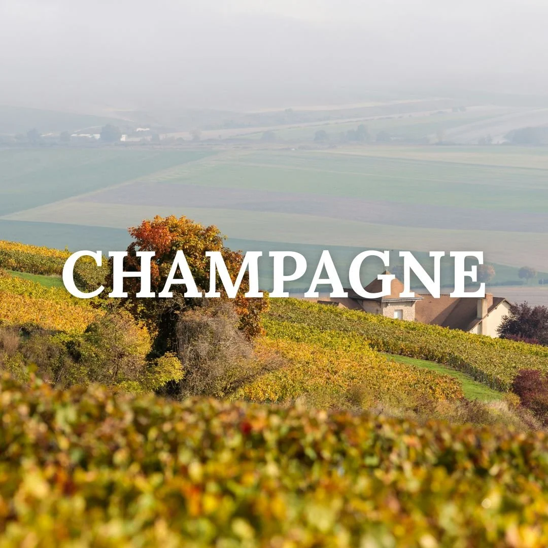 champagne france trip.jpg