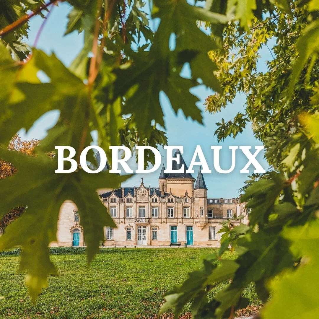 bordeaux wine tour.jpg