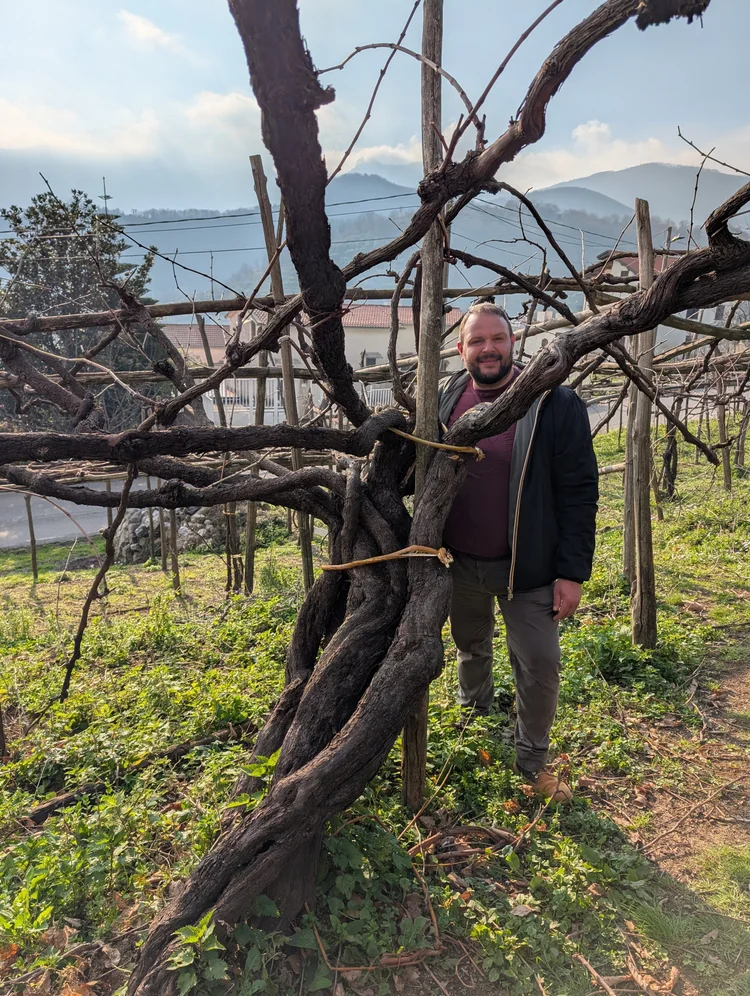 Ravello and Wineries