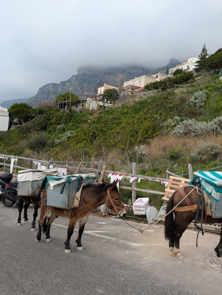 Free Day and Cooking Lesson