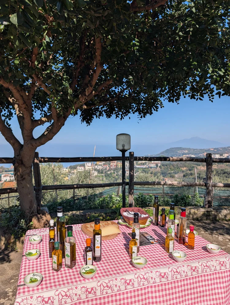 Ravello and Wineries