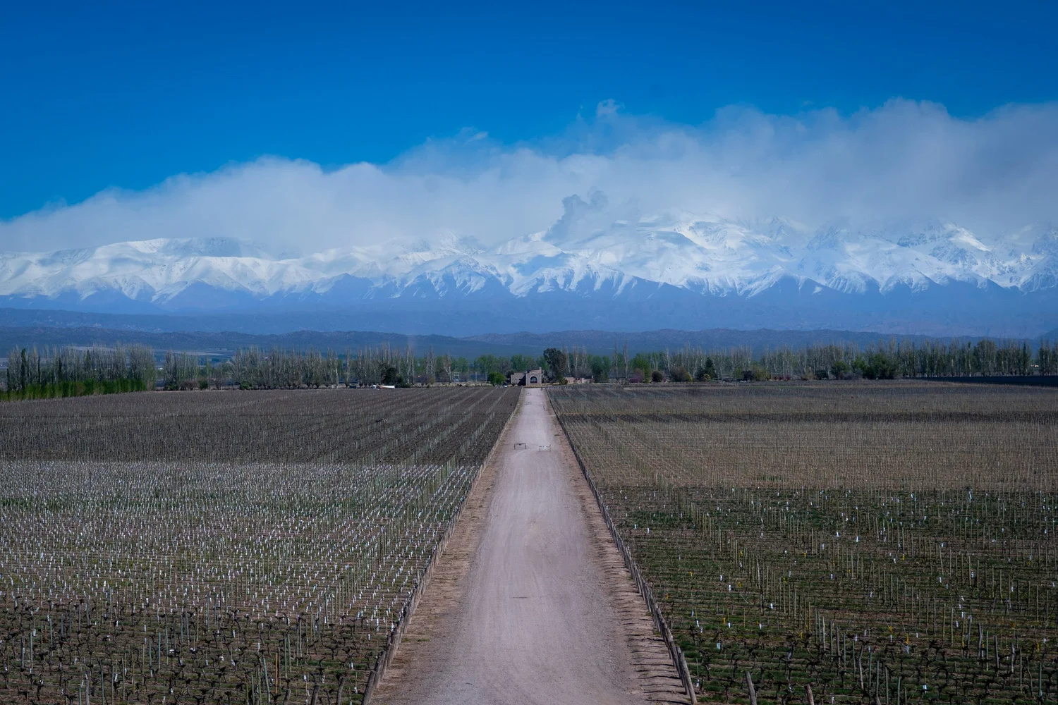 Arrival & Welcome, Hualta Winery Hotel