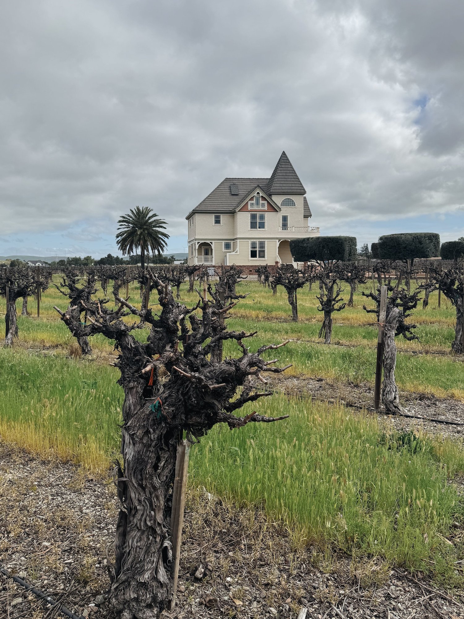 5 Wineries to Visit in Livermore Valley, California, Plus a Weekend ...