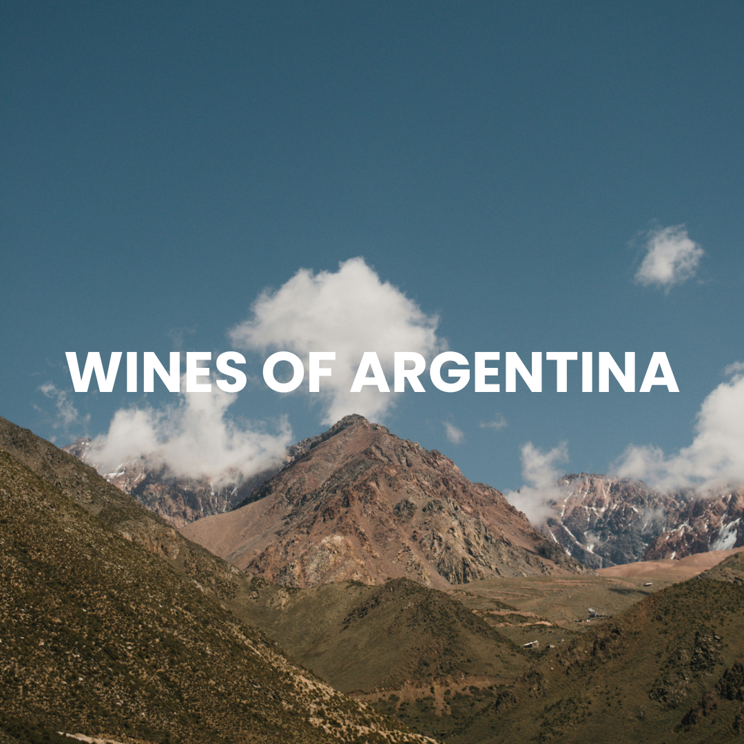 Wines of piedmont (1).png