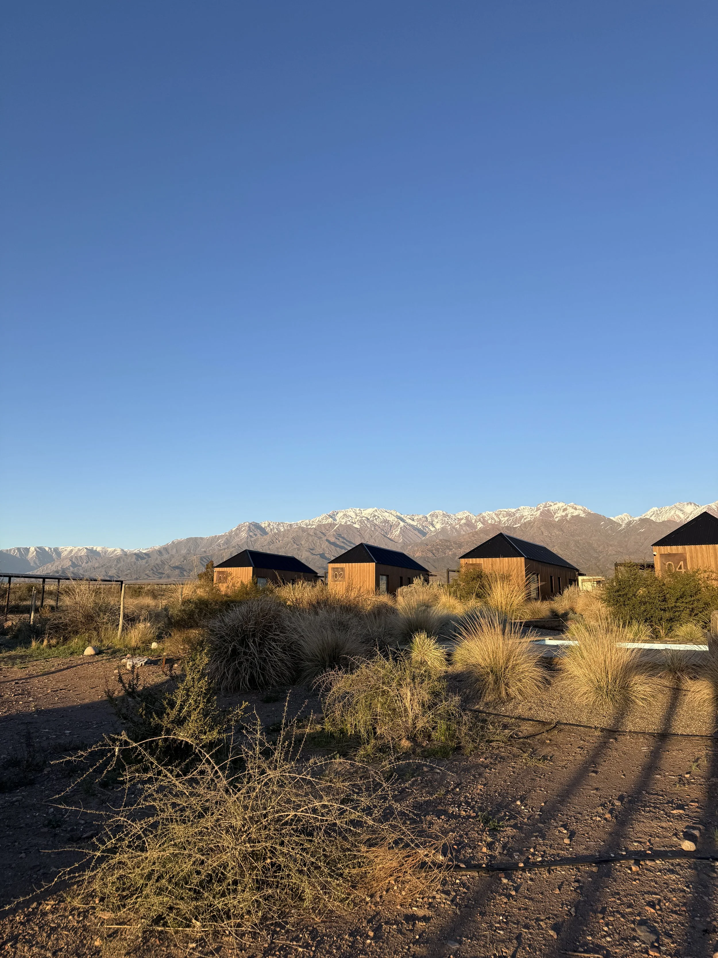 La Morada Lodge Valle de Uco view of the Andes