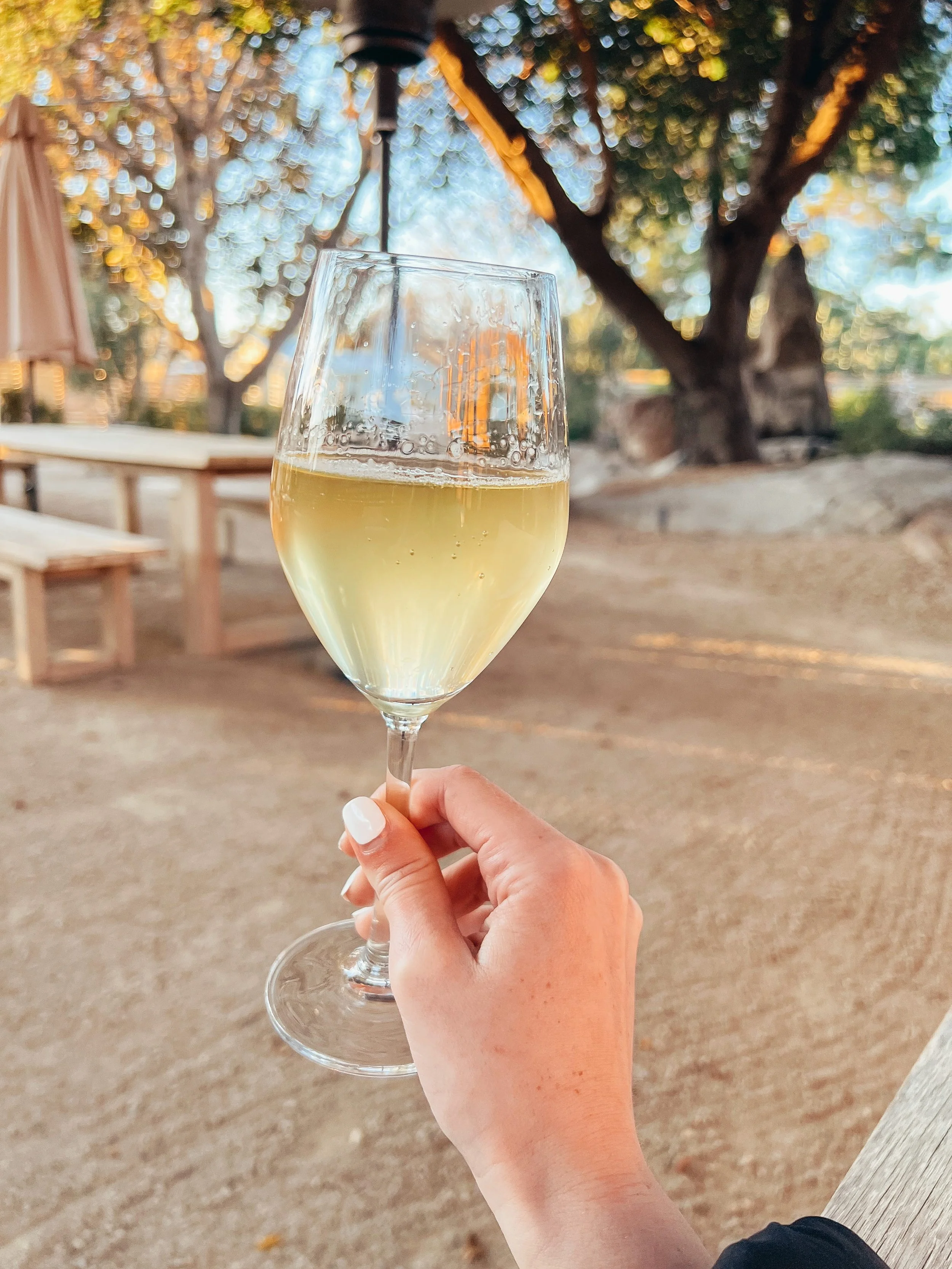 11 Best Wines for Beginners Plus Tips on How to Start Drinking Wine