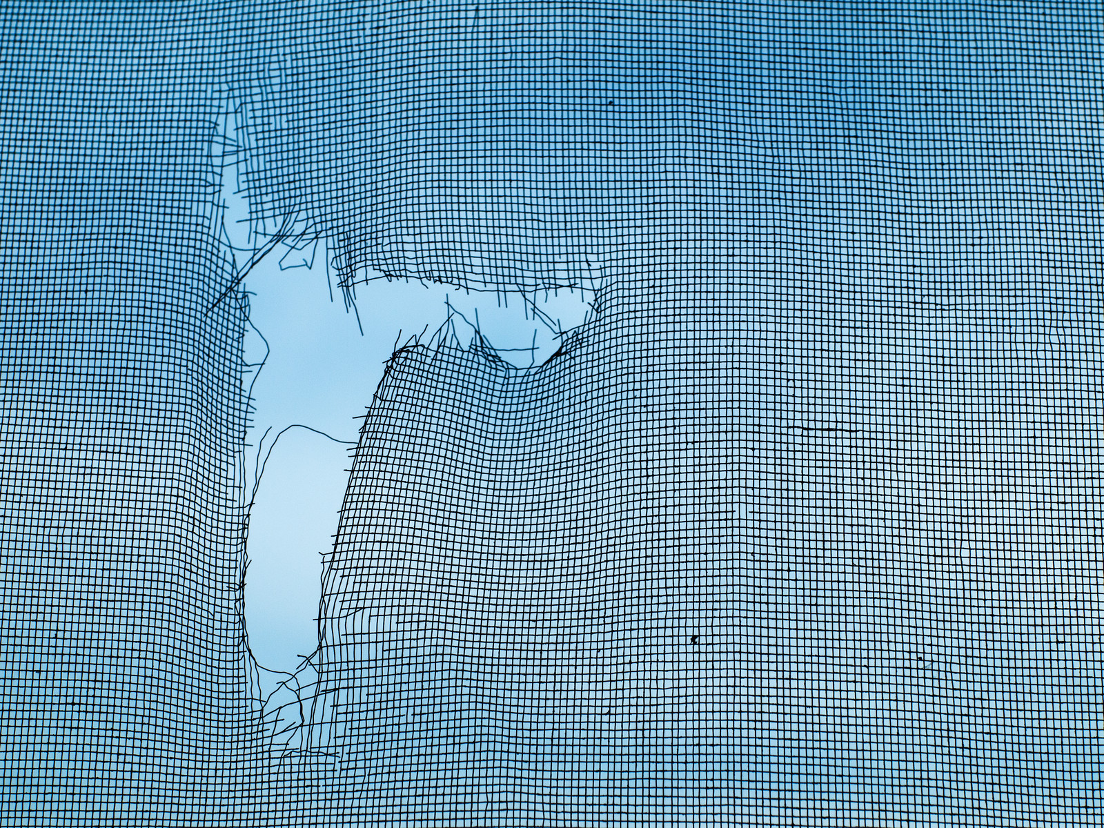 ripped-mosquito-screen.jpg