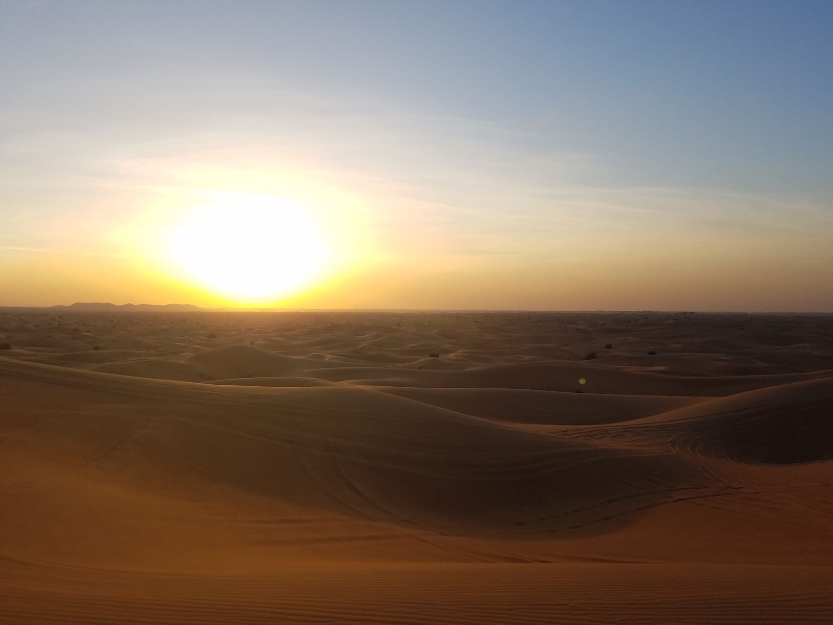 Desert Safari