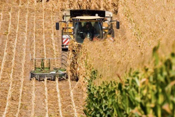 Food for Sustainable Development