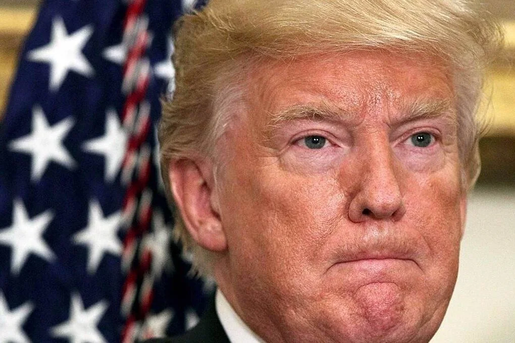 Surviving America’s Political Meltdown