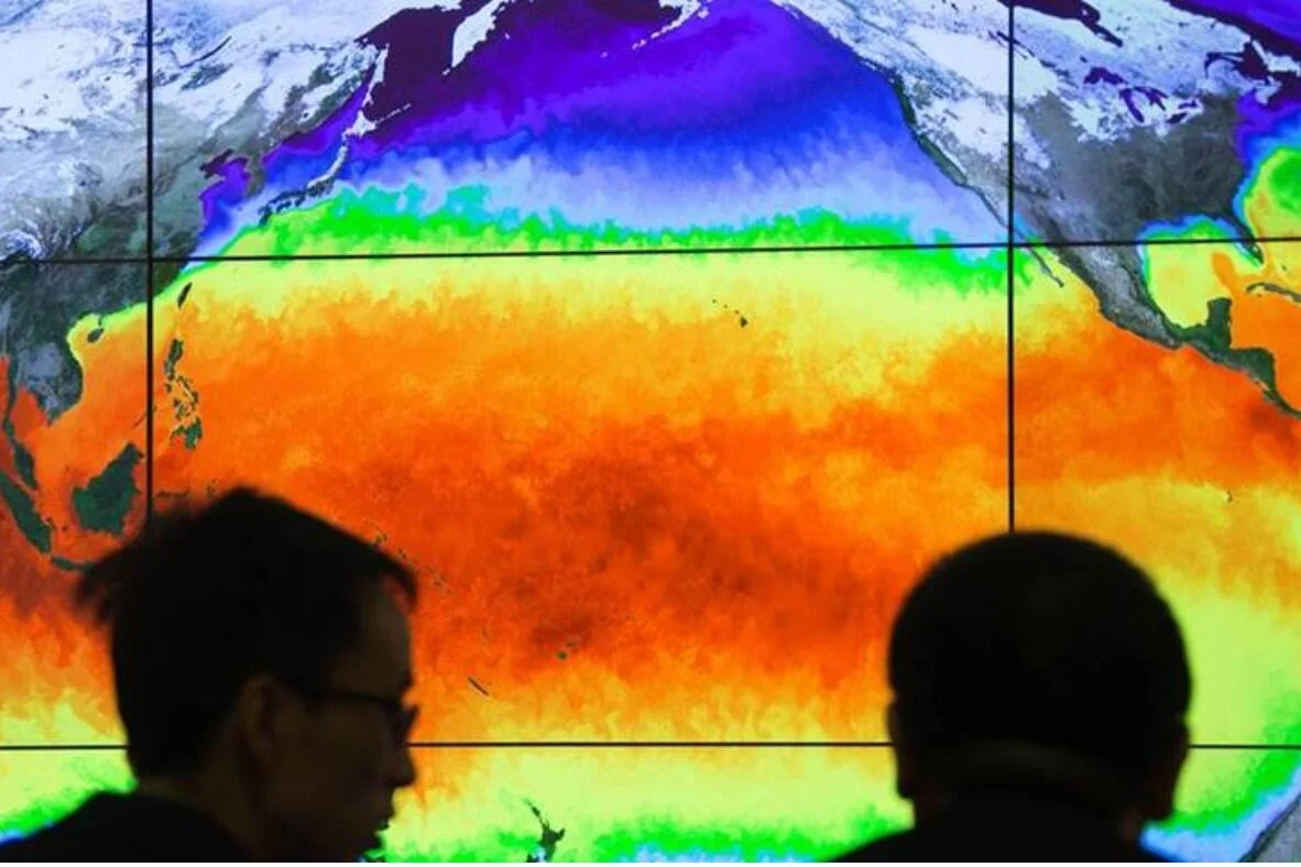 Data for Development