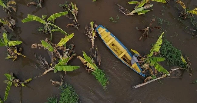 From Limits to Growth to Regeneration