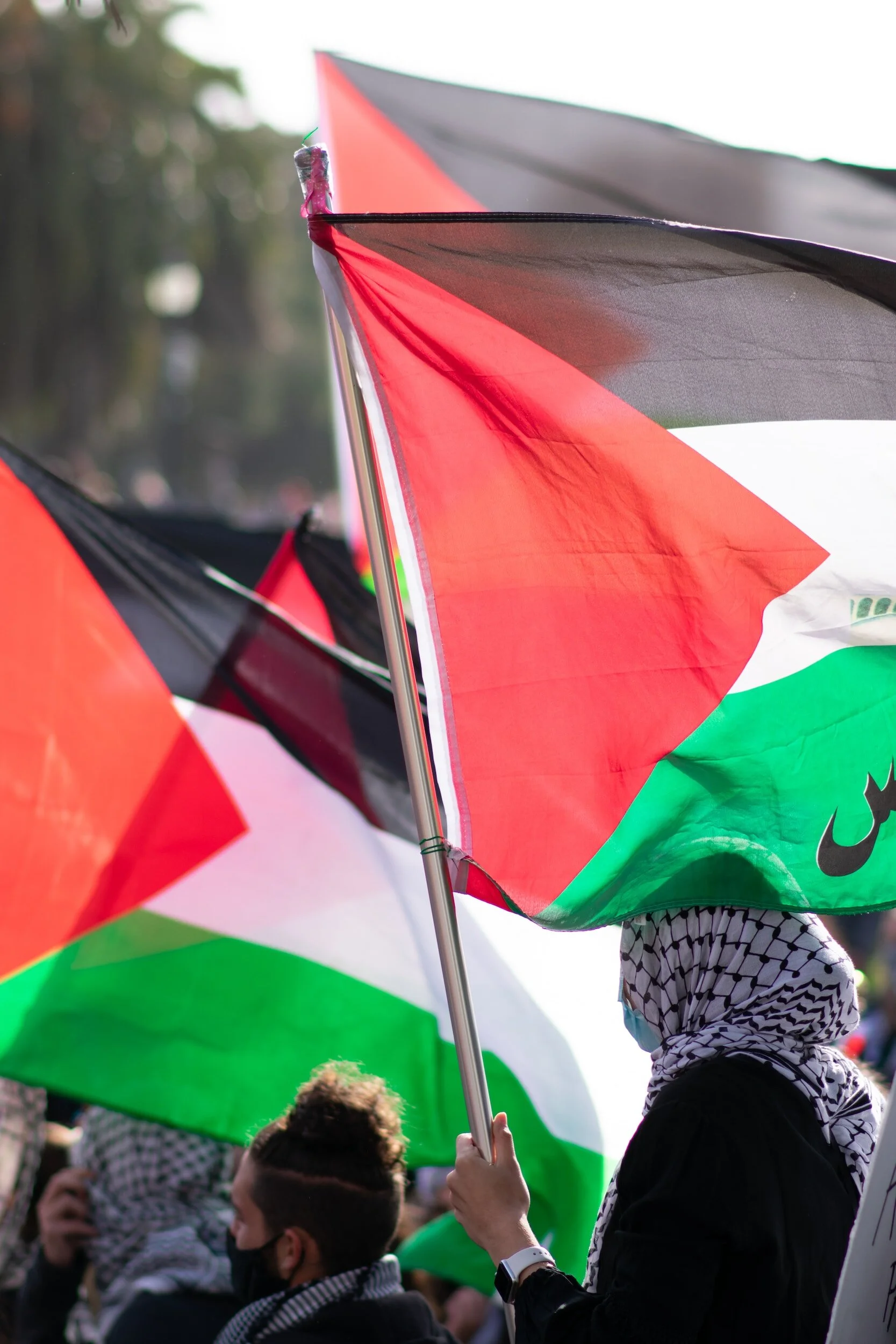 Stop Bullying US Students Calling for Justice for Palestine by Jeffrey D. Sachs &amp; Sybil Fares