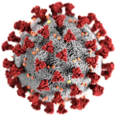 The Most Plausible Origin of SARS-CoV-2