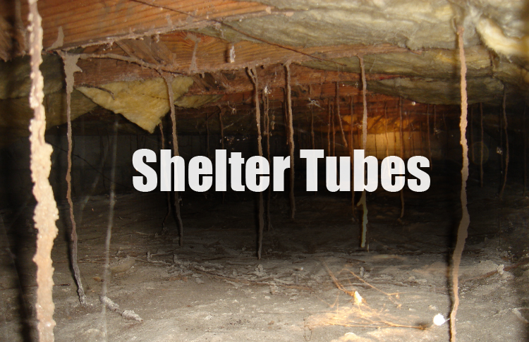 sheltertubes.jpg