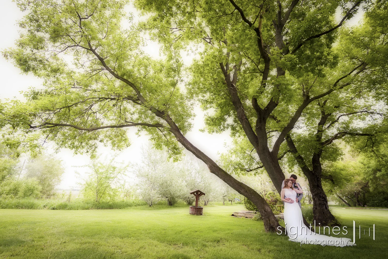 zf_wedding2016-139.jpg