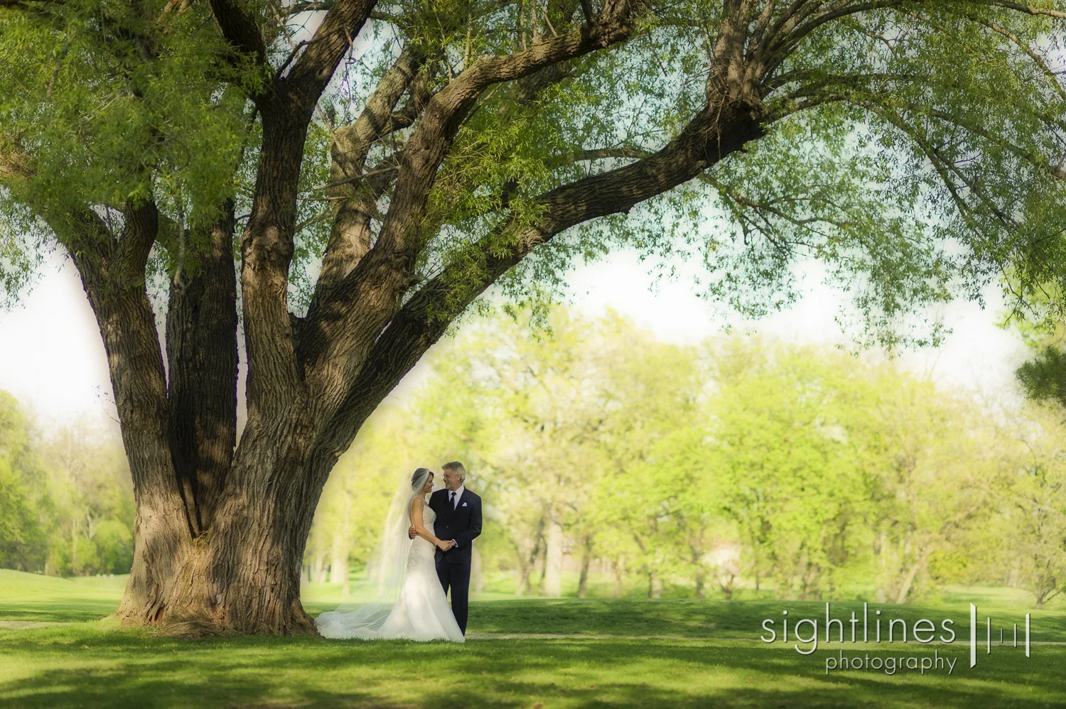 zf_wedding2016-197.jpg